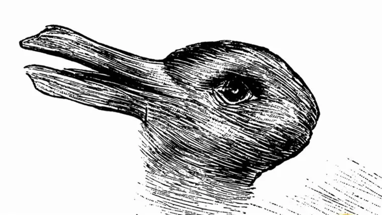 Duck-Rabbit Illusion
